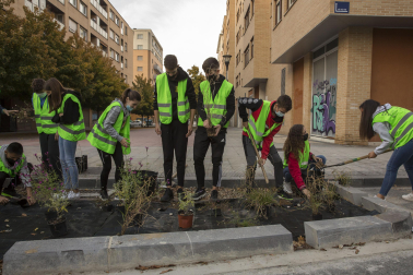 Plantación del alumnado de los colegios Rochapea y La Compasión Escolapios