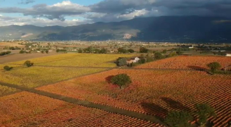 La nueva estación tiñe de rojo y naranja los extensos campos de viñedos