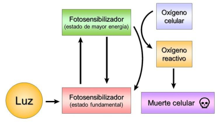 Mecanismo de acción de la terapia fotodinámica
