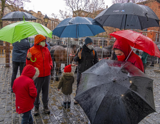 Imágenes de la Feria San Andrés en Estella