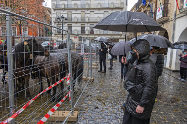 Imágenes de la Feria San Andrés en Estella