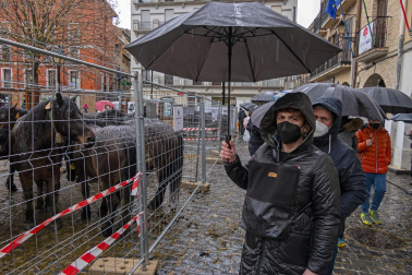 Imágenes de la Feria San Andrés en Estella