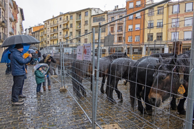 Imágenes de la Feria San Andrés en Estella