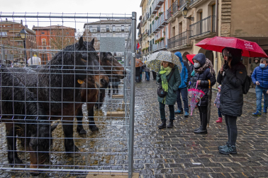 Imágenes de la Feria San Andrés en Estella