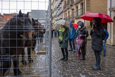 Imágenes de la Feria San Andrés en Estella