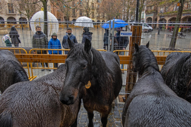 Imágenes de la Feria San Andrés en Estella