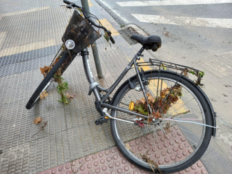 Tareas de limpieza en la Rochapea