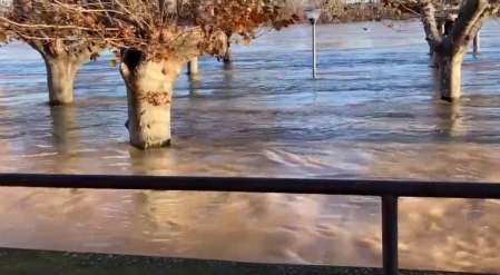 El río Ebro anega el Paseo del Prado en Tudela