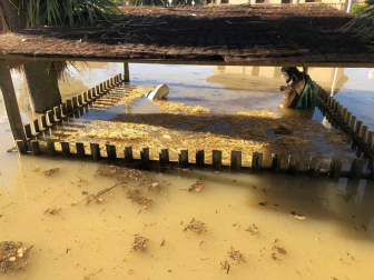 Inundaciones en San Adrián