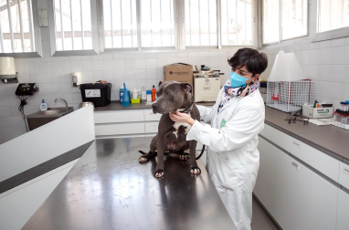 Centro de Atención de Animales del Ayuntamiento de Pamplona.