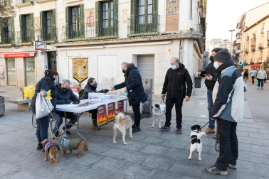 Festividad de San Antón en Tudela