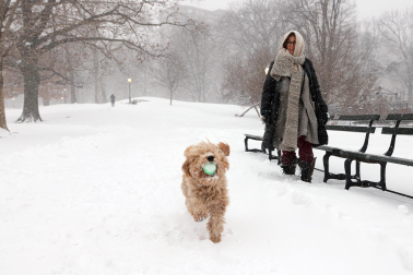 'Nor'easter' cubrió de blanco la costa este de EE UU