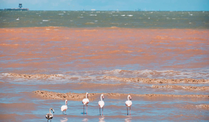 El agua turbia por el fango que llega a la costa