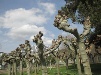 Primavera junto al Parque del Mundo