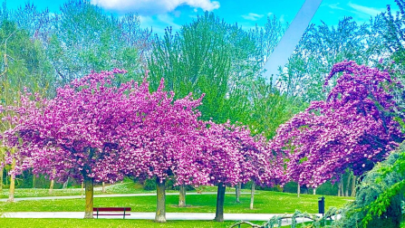 Parque de La Runa (Pamplona)