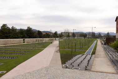 Vista de la zona