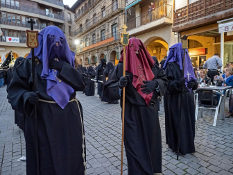 Imágenes de la procesión del Santo Entierro en Estella./