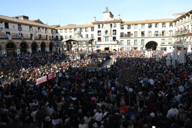 Bajada del Ángel de Tudela Semana Santa 2022.