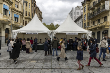 Imágenes de la Feria del Libro celebrada en Pamplona./