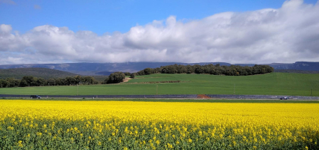Imágenes de la primavera de los lectores