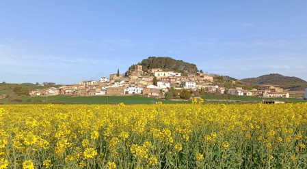 Campo de colza en Eslava