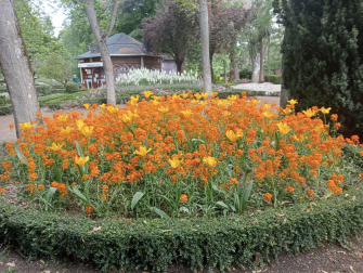 Primavera en Pamplona