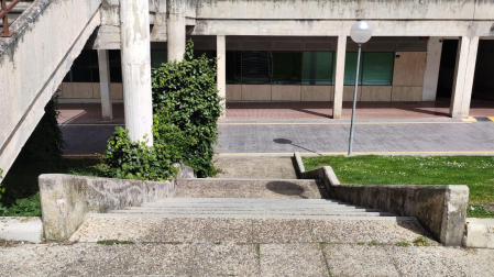 Zona sobre la que se pide actuación