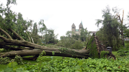 Fotos de los destrozos ocasionados por un tornado en Paderborn.