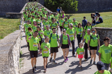 Marcha contra el Cáncer por la Investigación en Pamplona.