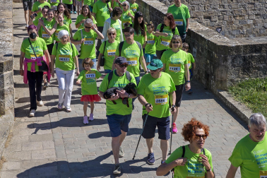 Marcha contra el Cáncer por la Investigación en Pamplona.