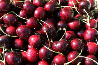 Día de la cereza del Valle de Etxauri