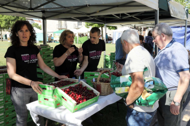 Día de la cereza del Valle de Etxauri