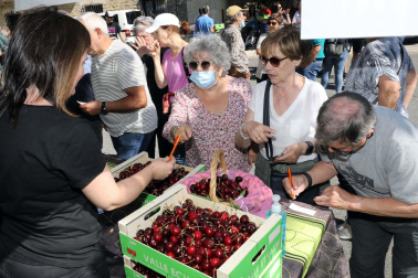Día de la cereza del Valle de Etxauri