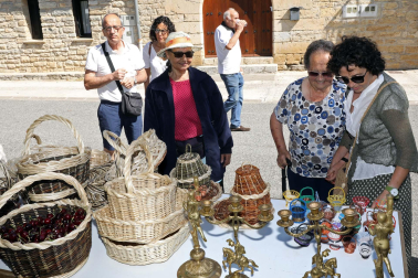 Día de la cereza del Valle de Etxauri