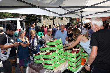 Día de la cereza del Valle de Etxauri