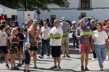 Día de la cereza del Valle de Etxauri