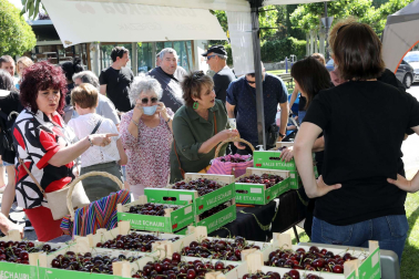 Día de la cereza del Valle de Etxauri