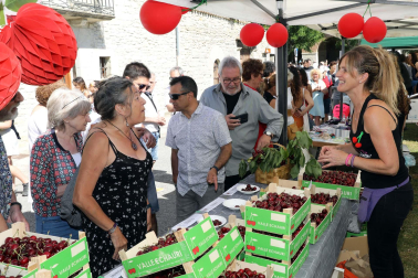 Día de la cereza del Valle de Etxauri