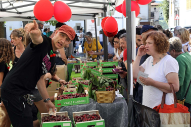 Día de la cereza del Valle de Etxauri