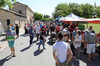 Día de la cereza del Valle de Etxauri