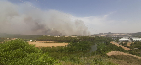 Fotos del incendio producido entre Obanos y Legarda.