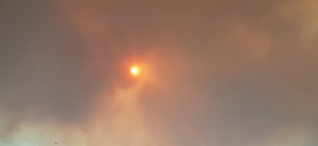 Fotos del incendio producido entre Obanos y Legarda.