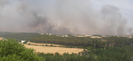Fotos del incendio producido entre Obanos y Legarda.