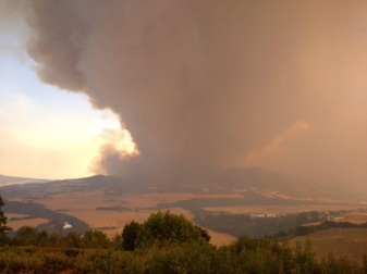 Columna de humo de los incendios de la cara sur del Perdón, desde Ciriza.