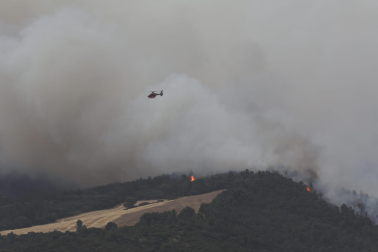 Fotos del incendio producido entre Obanos y Legarda.