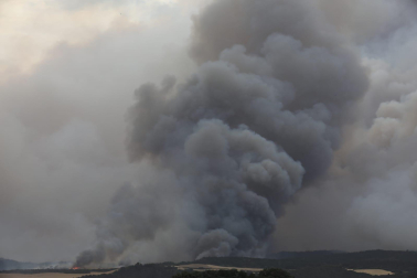 Fotos del incendio producido entre Obanos y Legarda.