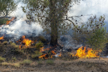 Fotos del incendio producido entre Obanos y Legarda.