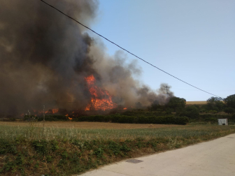 Fotos del incendio producido entre Obanos y Legarda en las cercanías de la localidad de Legarda.