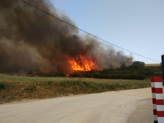 Fotos del incendio producido entre Obanos y Legarda en las cercanías de la localidad de Legarda.