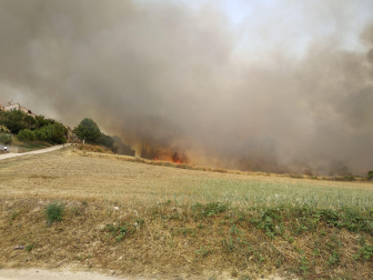 Fotos del incendio producido entre Obanos y Legarda en las cercanías de la localidad de Legarda.